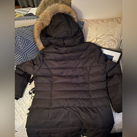 Winter Parka - Navy - Picture 10 of 12